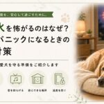 花火を怖がる犬と飼い主｜犬の花火対策5つ