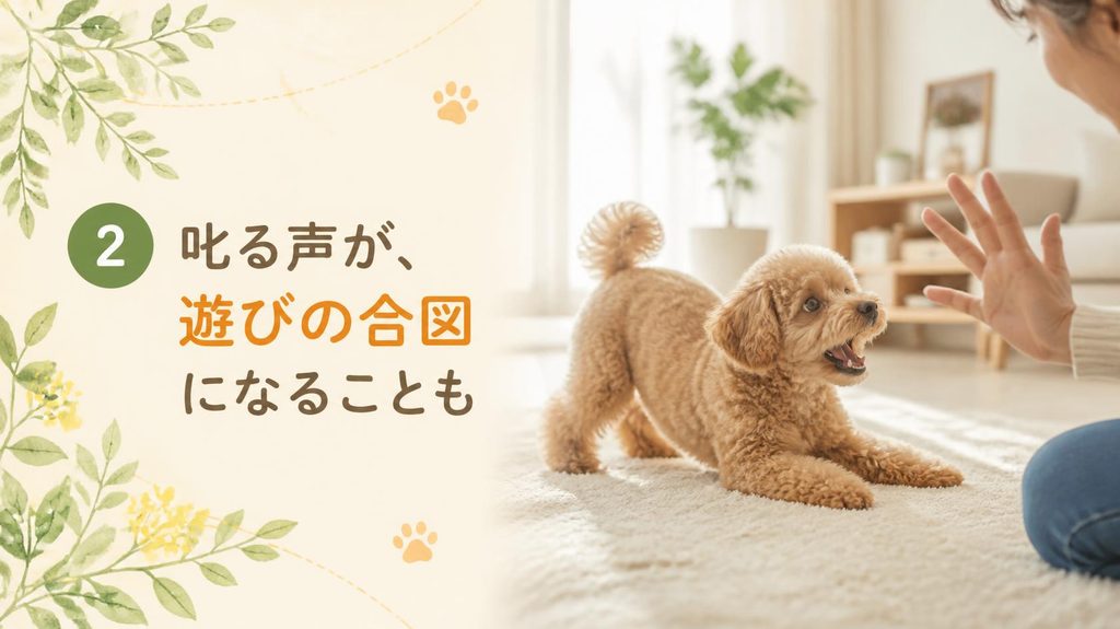 遊びに誘うように興奮する子犬