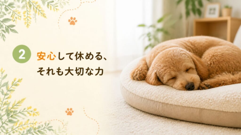 ベッドでぐっすり眠る犬